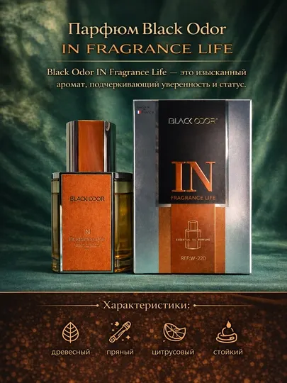 Автомобильный ароматизатор Black Odor IN Parfum