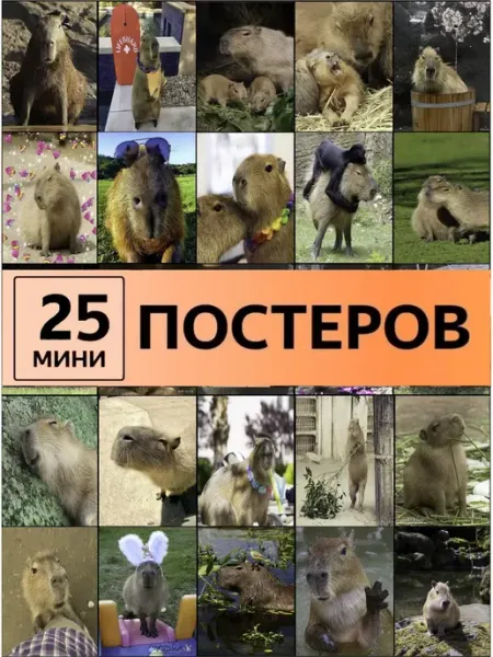 Pank.serg постеры Карточки с животными Капибара