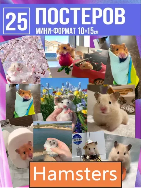 Pank.serg постеры Карточки в детскую хомячки хомяки
