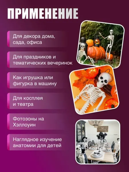 Подвижный пластиковый скелет человека, подвесной. Размер 40 см