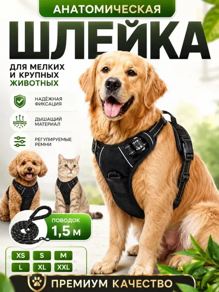 Шлейка для собак средних пород с поводком