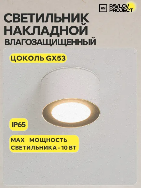 Pavlov Project Накладной потолочный светильник спот белый PP-5390 WH+BK