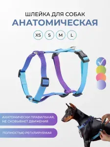 Анатомическая шлейка для собак мелких и средних пород, размер XS, цвет синий, Paws&Tails