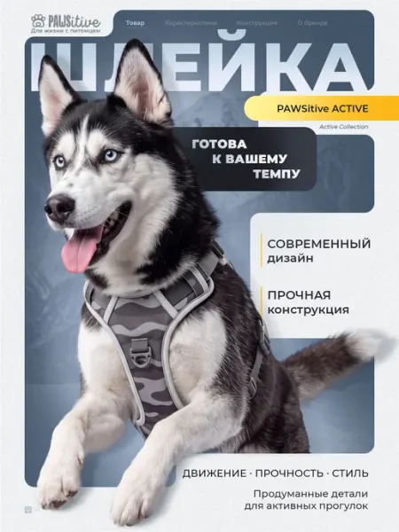 PAWSitive Шлейка анатомическая и поводок