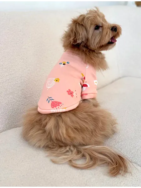 Pawsy Одежда для собак кошек мелких пород, толстовка для собак