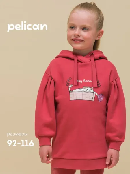 Pelican Худи без начеса детский свитшот с капюшоном