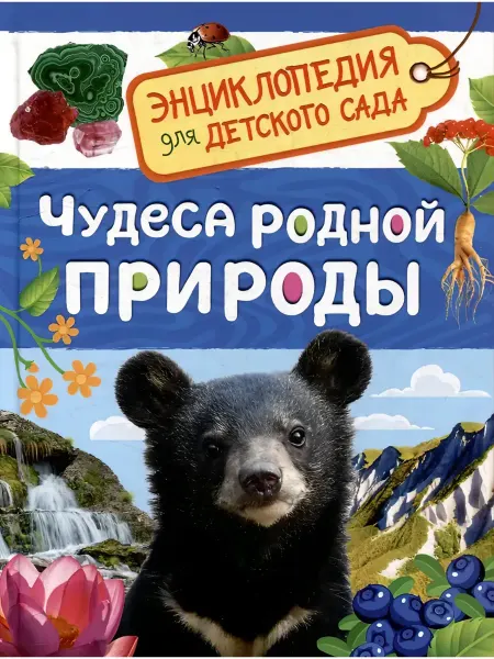 Чудеса родной природы. Энциклопедия для детского сада