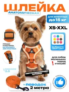 Шлейка анатомическая для собак и кошек Wonder Pet / оранжевый / размер S