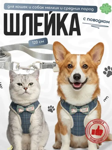 A.PetCare Шлейка-жилет для кошек и собак с бабочкой