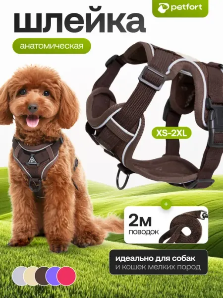 PETFORT Шлейка для собак мелких пород