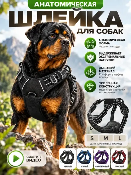 PETFORT Шлейка для собак средних и крупных пород анатомическая