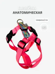 Шлейка анатомическая для небольшой собаки Rafa Petshop