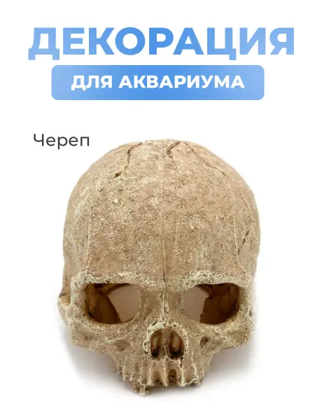 PETSROOM Декорация для аквариума - террариума Череп грот