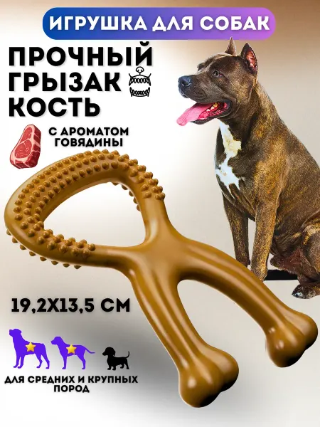PETSTEP Жевательная игрушка для собак из нейлона Кость с ручкой