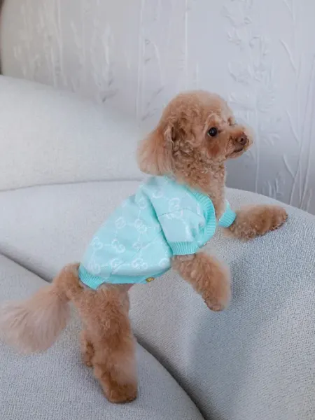 Petsy Shmaxy Одежда для собак кошек мелких пород, свитер для собак