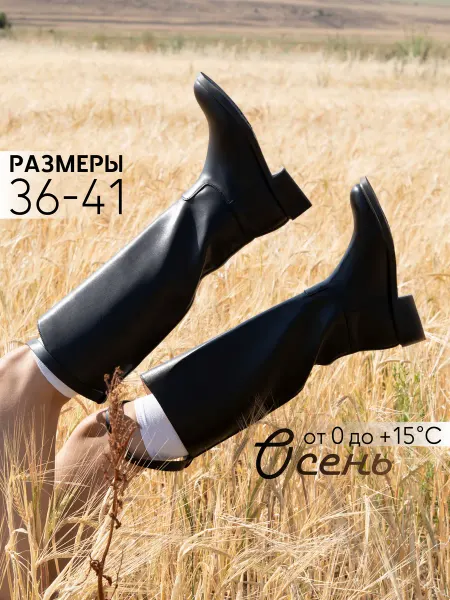 Piede Демисезонные сапоги трубы кожаные
