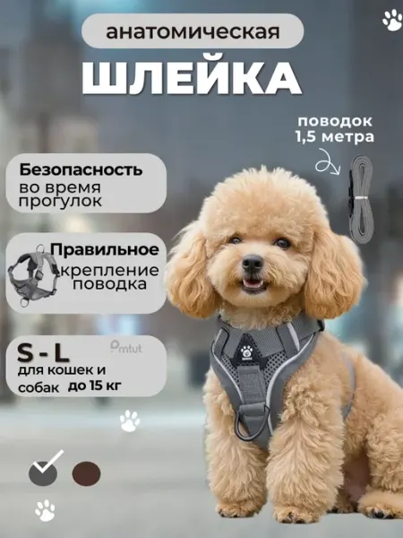 PMTUT Шлейка для собак мелких средних пород и кошек с поводком