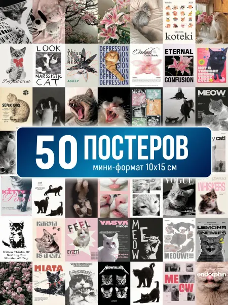 Poster800 Постеры Котики мини карточки на стену