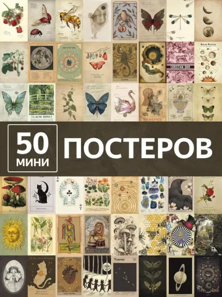 Poster808 Постеры анатомия природы карточки на стену