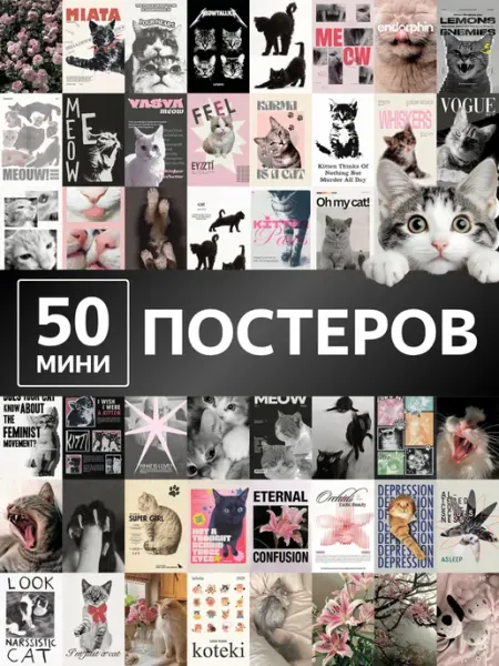 Poster808 Постеры котики на стену коты мемы 50 штук