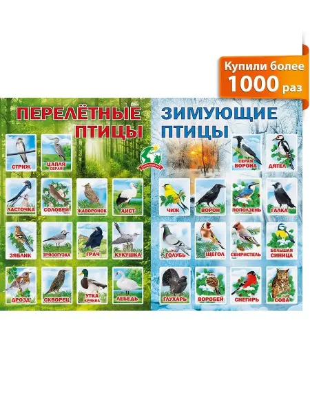 Posters X Обучающий плакат "Перелетные и зимующие птицы", формат А2