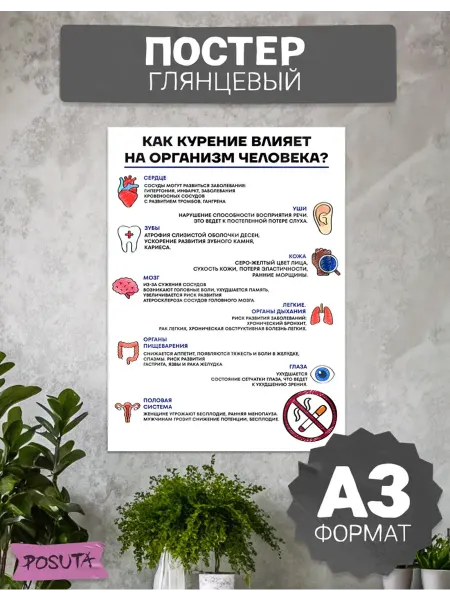 Posuta Плакат медицинский на стену вред курения