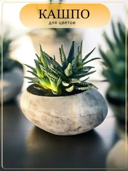 PotCraft Кашпо бетонное, горшок для цветов