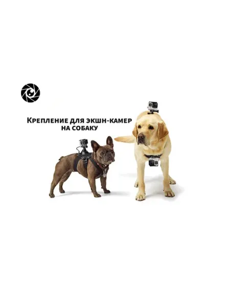 Pribluda Store Крепление для экшн-камер на собаку