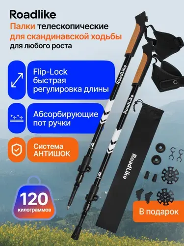 Палки для скандинавской ходьбы телескопические Protect