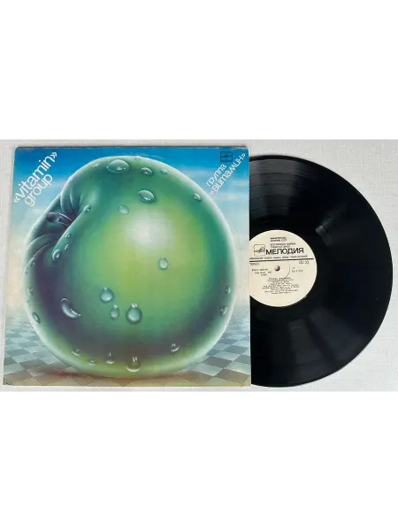 Vinyl Record Store Виниловая пластинка Группа Витамин