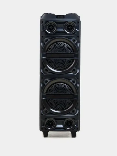 Большая акустическая система ZQS8231 с караоке микрофонами и RGB подсветками