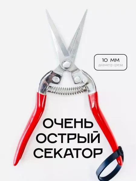 RORAEGORA Секатор садовый ручной универсальный для огорода