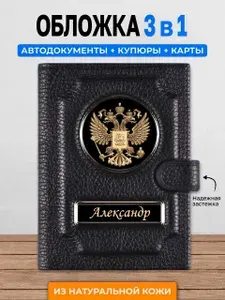 Мужское портмоне из натуральной кожи / Кошелек мужской / Обложка для документов / Обложка для автодокументов с кошельком Александр