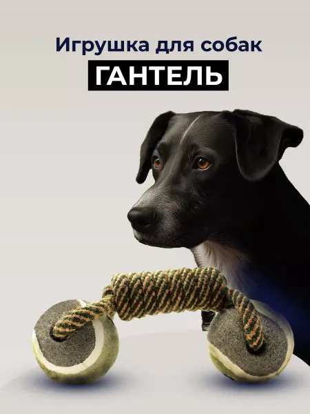 Safarium Игрушка гантель для собак