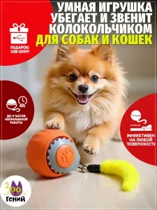 Автоматический мяч для кошек и собак мелких пород с хвостиком и колокольчиком оранжевый