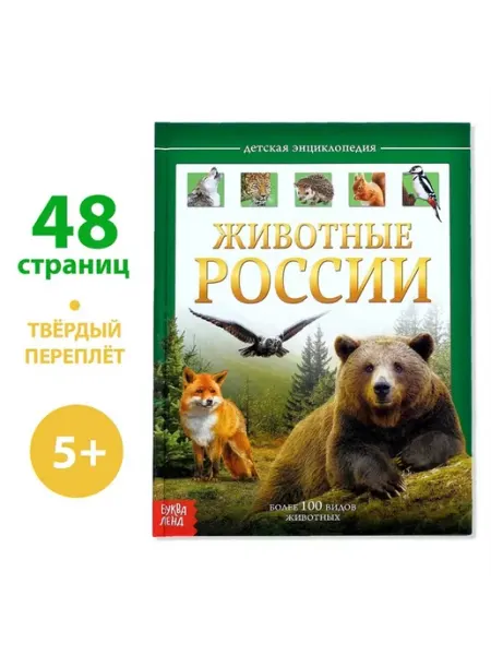 Saturn - Книжный склад Детская энциклопедия "Животные России"