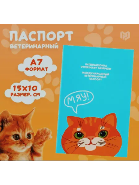 SENZOOM Ветеринарный паспорт «Рыжий кот»