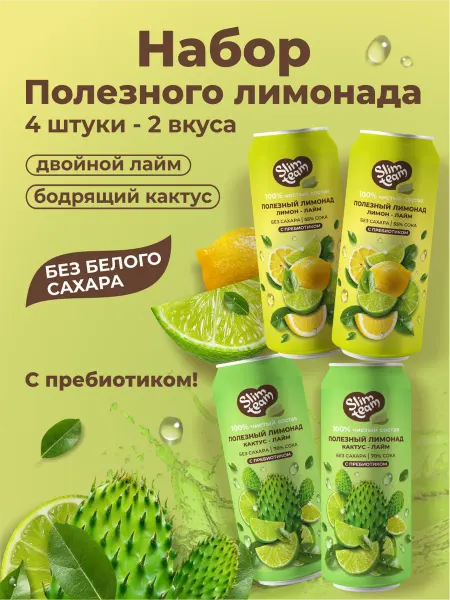 SLIM TEAM Набор Лимонадов Бодрящий Кактус и Двойной Лайм