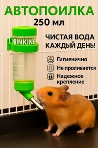 Поилка 250 мл, автопоилка для грызунов, крыс, мышей, хомяков, шиншилл, с креплением для клетки, зеленая