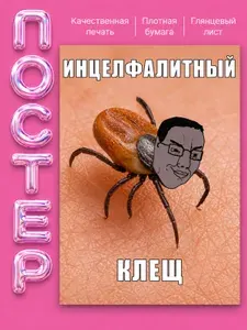 Постер А3 с сойджаки Soyjak мем. Постер в комнату.