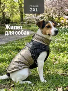 Жилет утепленный для собак средних и крупных пород SSY, черно-золотистый, размер XXL