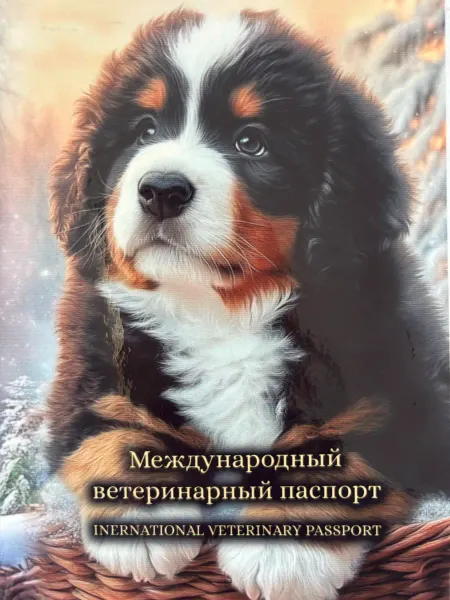 StarHoll Международный ветеринарный паспорт зенненхунд