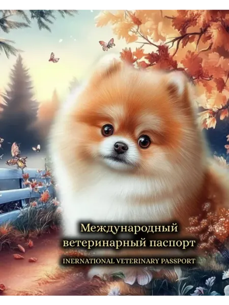 StarHoll Международный ветеринарный паспорт ветпаспорт померанский шп…