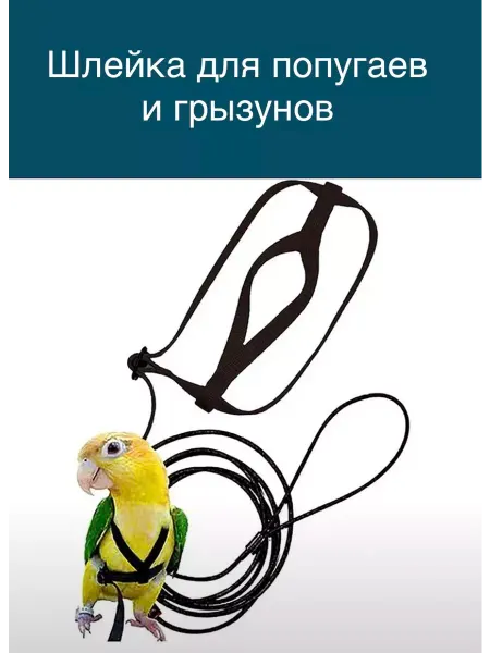 Stendypopugai Шлейка для птиц и грызунов