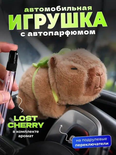 DR.Style Игрушка капибара и ароматизатор подарок мужчине женщине