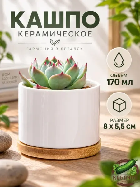 Агрофирма Кабачок Кашпо керамическое для суккулентов и кактусов 1 шт
