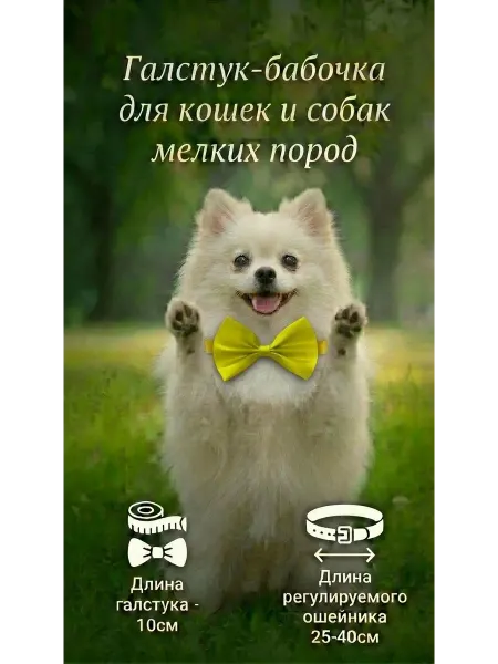 TAKINADA Галстук-бабочка для кошек и собак мелких пород