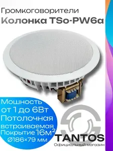 TANTOS Потолочный громкоговоритель tso-pw6a