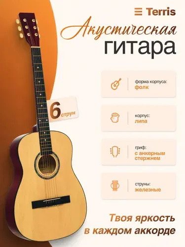 Terris Гитара акустическая шестиструнная TF-380A BK