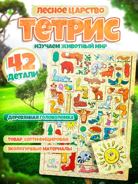 ToySib Головоломка тетрис развивающая деревянная игрушка